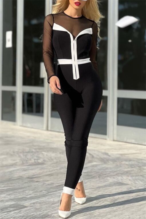 Sexy Casual Solid Patchwork See-through O Neck Skinny Jumpsuits - Image 2